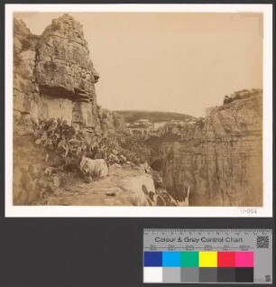 View of Constantine with the bridge taken from the Gorge of Rhumel with figue cactus in the foreground