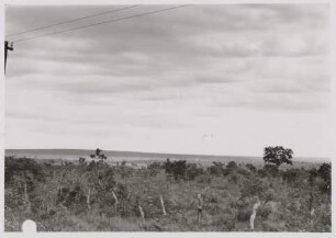 Büsche, dahinter Offenland, Mato Grosso do Sul