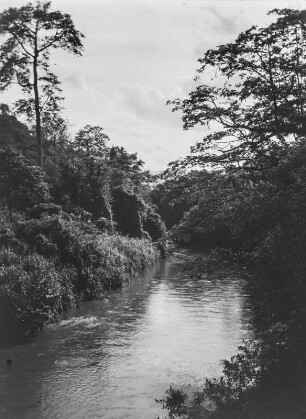 Der Ngerengere-Fluss : Ngerengere-Fluss von einer Brücke aus