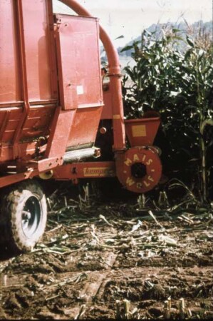 Fotografie: Futtererntetechnik, Maissilage, Maishäcksler angebaut