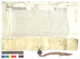Das Basler Konzil bestätigt die dem Prämonstratenserorden von Papst Alexander V. durch Urkunde von 1409 Juli 31 erteilten Privilegien.