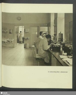 Im bakteriologischen Laboratorium