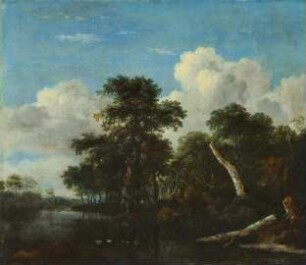 Waldesdickicht