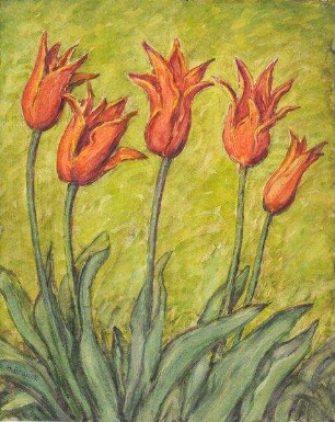"Lilientulpen" (Rot)