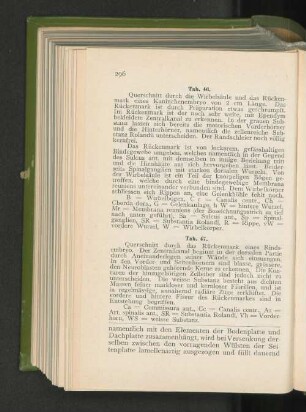 Tab. 46-47.