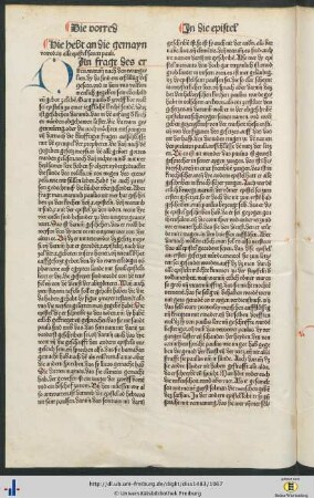 Die gemayn vorred in alle epistel sancti pauli
