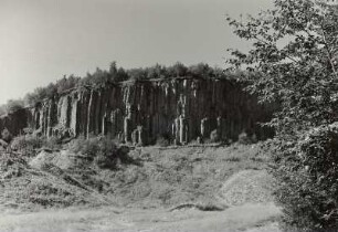 Westerzgebirge. Pöhlberg. Basaltbruch (aufgelassen) der Westseite. Säulenbildung über oligozänen Sanden
