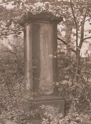 Dresden, Eliasfriedhof. Grabmal einer/s Unbekannten. Block mit Palmenblatt-Ornament
