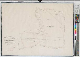 Oer-Erkenschwick (Oer-Erkenschwick), Teilung der Oerschen Mark (Gemeinheit), Reinkarte 1. Abt. Flaesheimer Gemeinheit und Heimöde