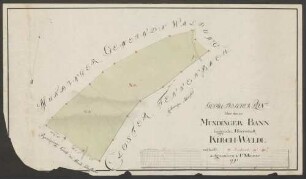 Geometrischer Plan über das im Mundinger Bann liegende Herrschaftliche Kirch-Waeldl