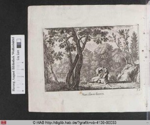Narcissus in florem. [Narziss betrachtet sein Spiegelbild]