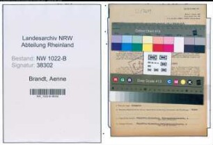 Entnazifizierung Aenne Brandt , geb. 01.09.1901 ()