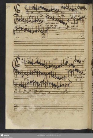 [Anon.:] Gaudeamus omnes