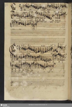 [Anon.:] Gaudeamus omnes