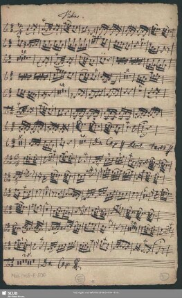 Violino. [Tutti]