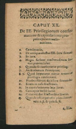 Caput XX. De EE. Privilegiorum confirmatione & capitulationis propositae iurata confirmatione.