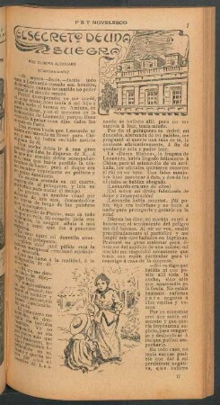 El secreto de una suegra - (Continuación) : PBT novelesco