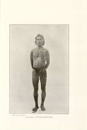 Plate CXLIII. A tattooed Bontoc man