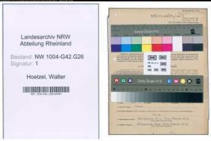Entnazifizierung Walter Hoelzel , geb. 14.01.1915 (Reg.Inspektor)