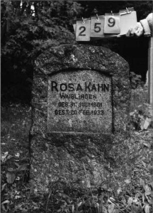 Grabstein 259 [Hahn S. 67 Grab-Nr. 352]