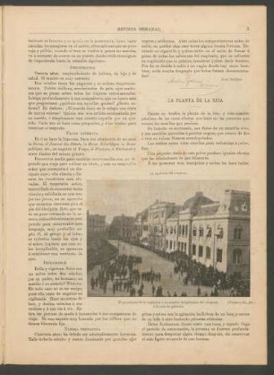 Falsa literata