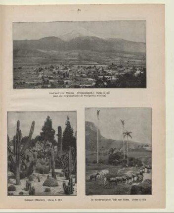 Hochland von Mexiko (Popocatepetl.)