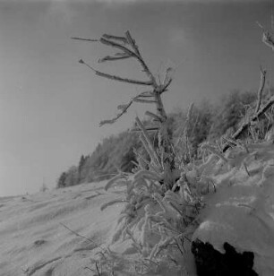 Rehefeld-Zaunhaus. Winterlandschaft