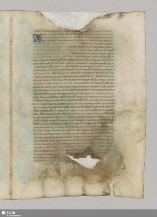 De otio militari. Cap. III.