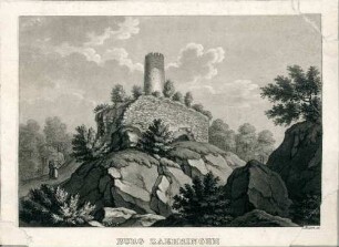 Burg Zaehringen