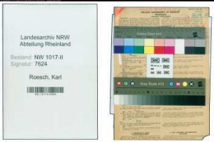 Entnazifizierung Karl Roesch , geb. 01.03.1895 (Ingenieur)
