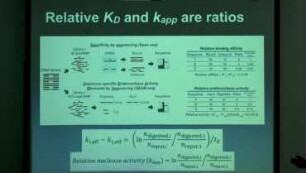 The effects of sequence and mismatches on Cas9 activity