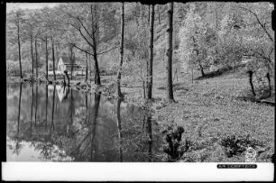 Tharandt, am Dorfteich