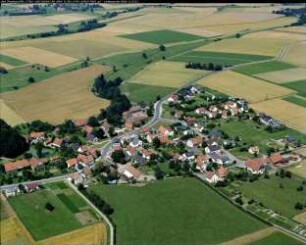 Blomberg-Tintrup