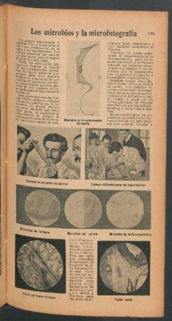 Los microbios y la microfotografía