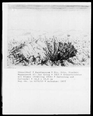 Mappenwerk IV: Der Krieg — Granattrichter mit Blumen (Frühling 1916)