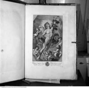 Recueil d'Estampes d'après les plus célèbres tableaux de la Galerie Royal de Dresde. Volume II. Contenant cinquante pieces avec une description de chaque tableau en francois et en italien. Imprimé a Dresde MDCCLVII., Tafel 19: Der Genius des Ruhmes