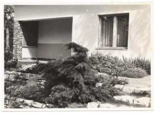 Garten Seydel, Berlin-Wannsee: Terrasse und Mauer