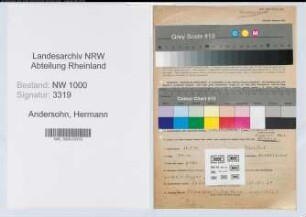 Entnazifizierung Hermann Andersohn, geb. 26.05.1893 (Steuerberater)