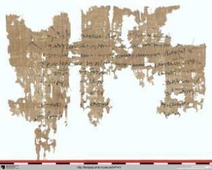 Kontoauszug der Sitologen