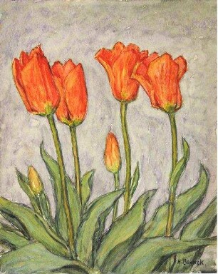 "Rote Tulpen"