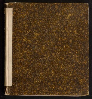 Specimen Inavgvrale Medicvm De Phthisi Ex Vlcere