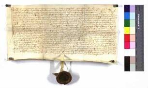 Lehenbrief der Elß Rüpplerin, Lienhard Rüpplins Witwe, für Contz Lang zu Birkenzell über die ihm auf neun Jahre verliehenen liegenden Stücke und Güter zu Birkenzell.