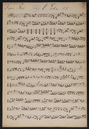 1te Violine (4x)