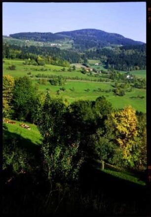 Perasdorf: bayerische Wald Landschaft mit herbstlichen Bäumen