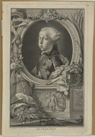 Bildnis des Willem de V., Prins van Oranje