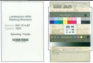 Entnazifizierung Friedel Sievering , geb. 11.09.1907 (Kauffrau)
