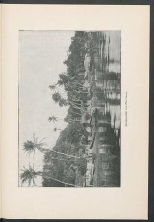 Strandansicht von Martinique.