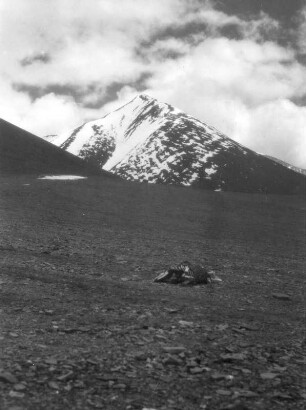China. Sinkiang (Xinjiang). Kunlun. Süd- Sughet-Kette. Sughet-Pass (5434 m)