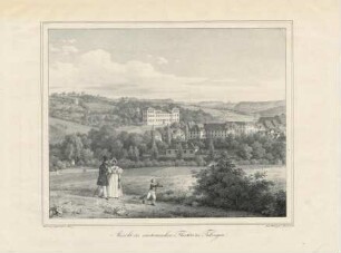 Ansicht des anatomischen Theaters zu Tübingen : Lithographie