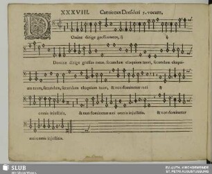 XXXVIII. Domine dirige gressus meos
